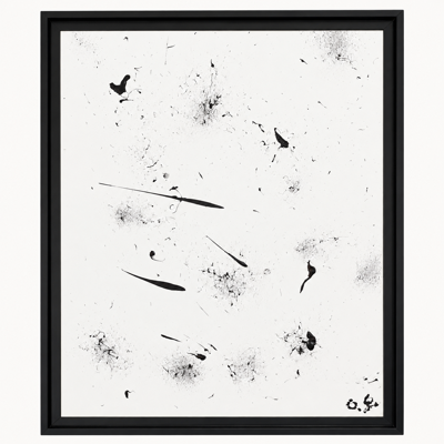 Constellation